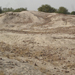 10.Potsherds and broken bricks,Mound,Shah Machine,Multan.03-09-09